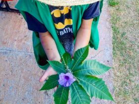 {{brizy_dc_image_alt imageSrc=